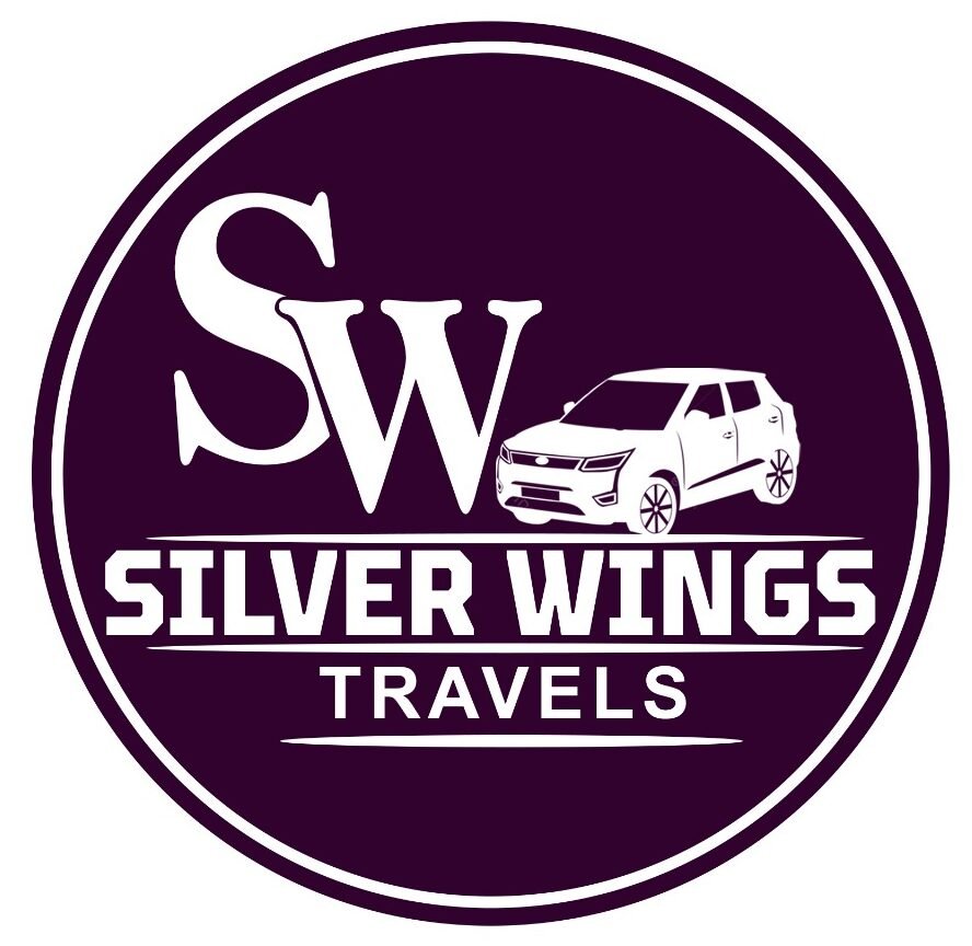 logo silver wings travels